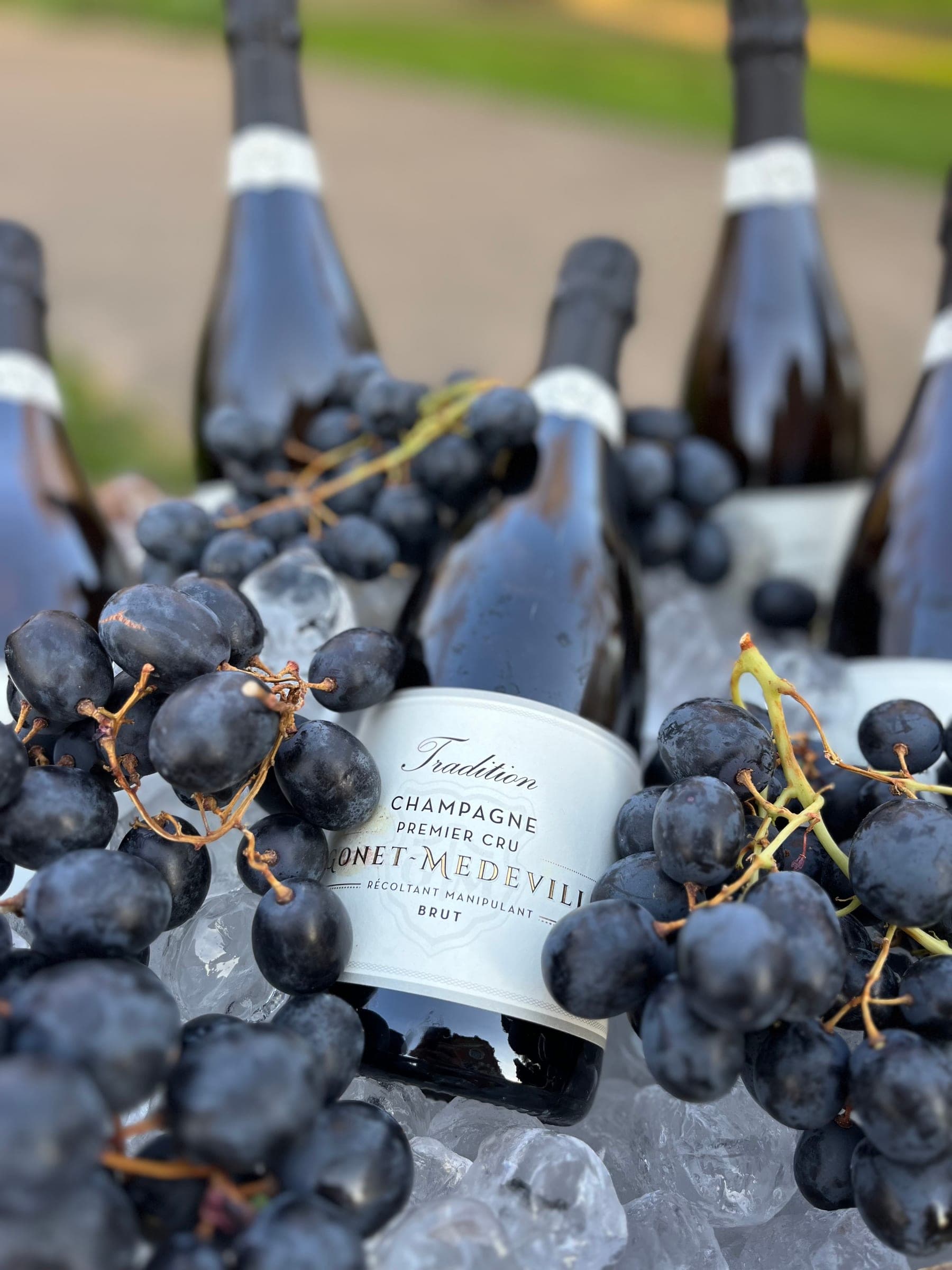 Champagne on ice with grapes, ready for the toast